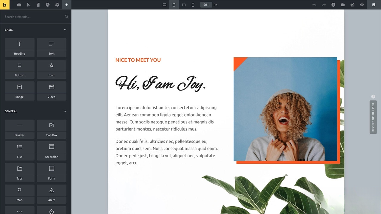 WordPress主题Bricks v1.9 破解版-易博客论坛